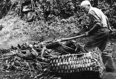  Image name: 13 Carbonai.jpg 
 width: 400 pixel 
 height: 274 pixel 
 Size: 28985 bytes 
 Click to enlarge 